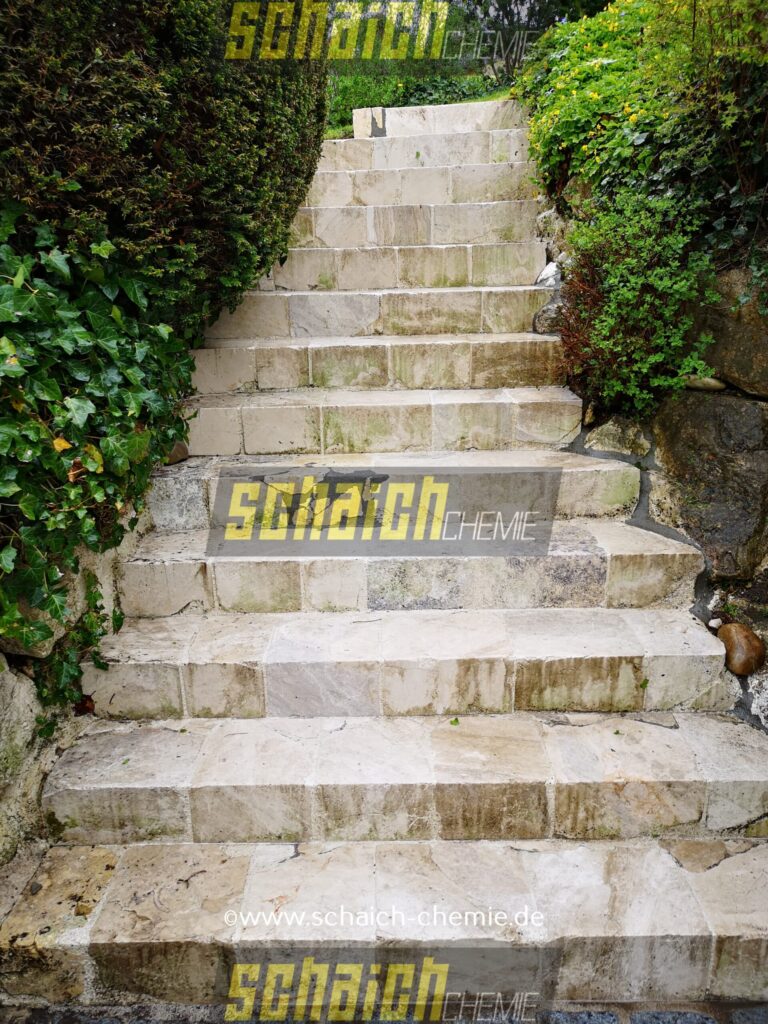 Algen_Moos_1_nachher_schaich_chemie-1-scaled