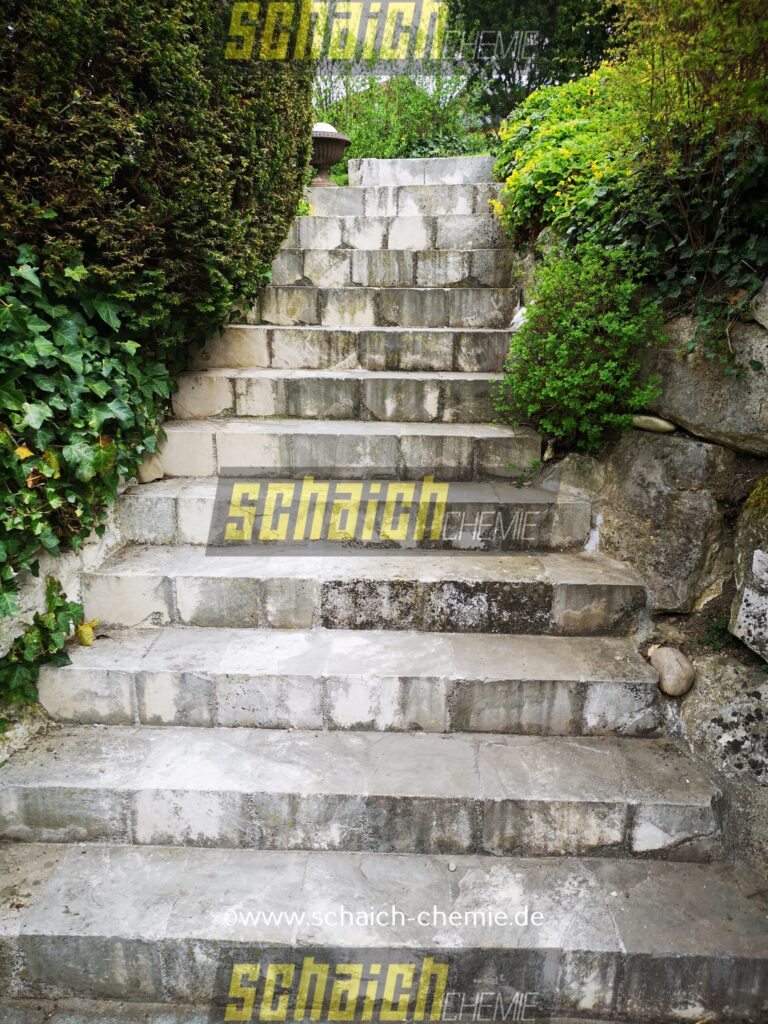 Algen_Moos_1_vorher_schaich_chemie-1-scaled